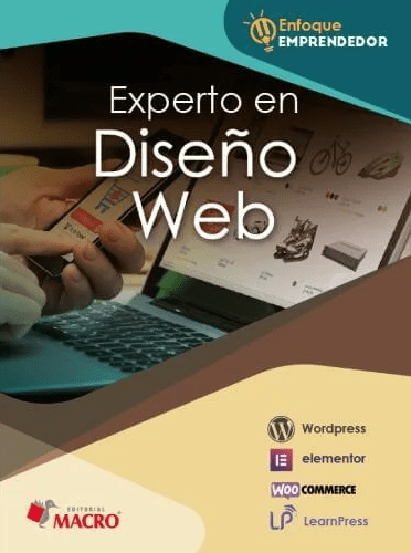 Experto en Diseño Web